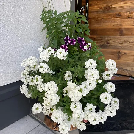 公寓 Mountain Lechtal *