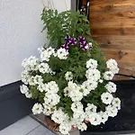 Apartamento Mountain Lechtal *